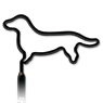 Dachshund thumbnail