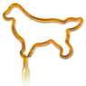 Golden Retriever thumbnail