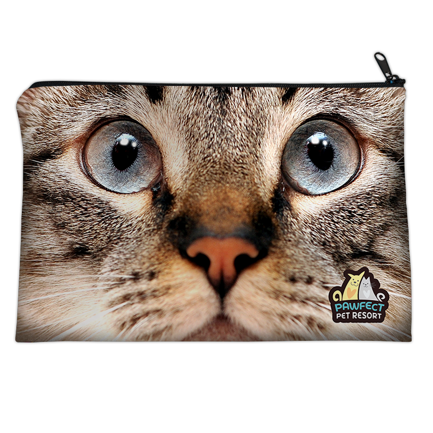 Cat Close Up thumbnail