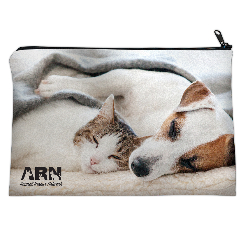 Dog and Cat Cuddle thumbnail