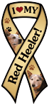 Red Heeler thumbnail