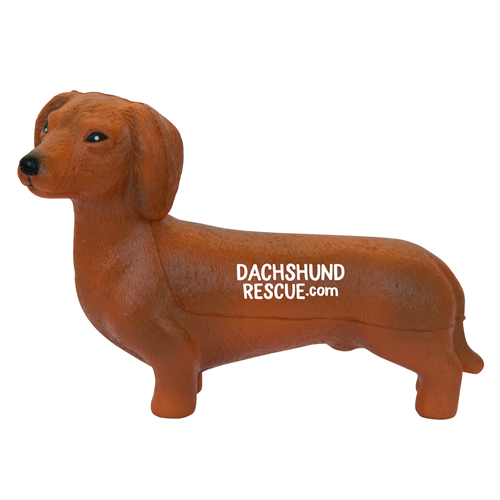 Dachshund Squeezie thumbnail