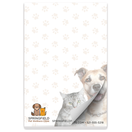 Dog and Cat thumbnail