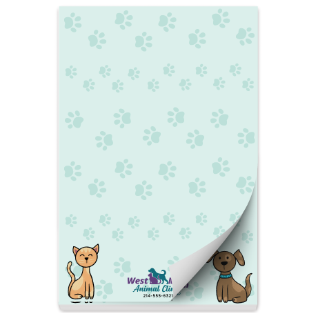 Cat and Dog in Corners thumbnail