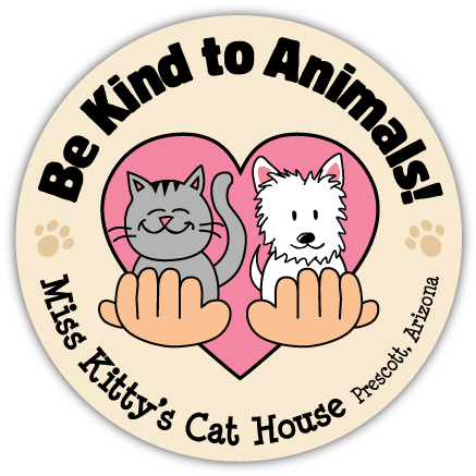 Be Kind thumbnail