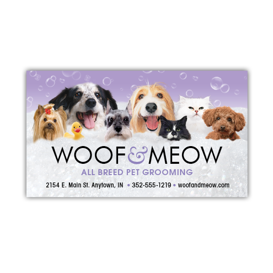 Dogs and Cats in Bubbles thumbnail