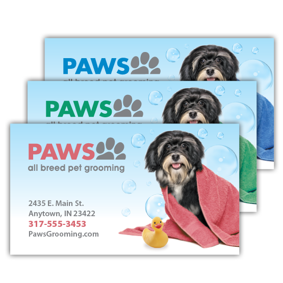 Dog in Towel - Havanese thumbnail