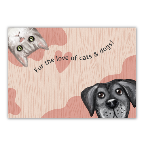 Cat and Dog Love thumbnail