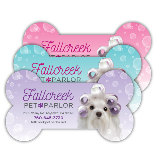 Maltese in Curlers thumbnail