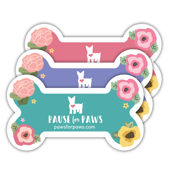 Floral Pop thumbnail