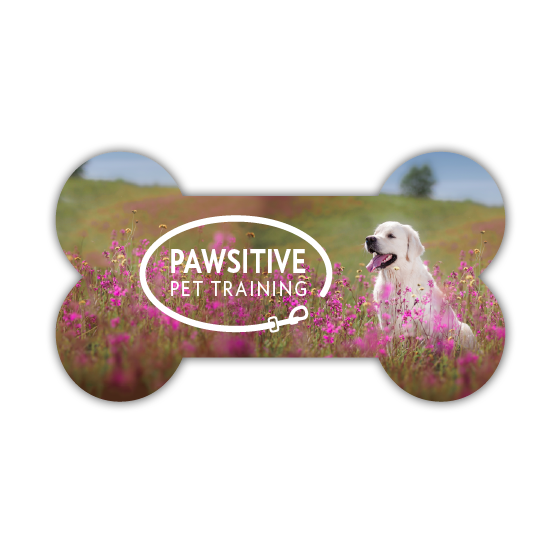 Scenic Pets - Flower Field thumbnail