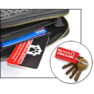 Emergency Pet Card and Key Tag thumbnail