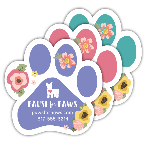 Floral Pop thumbnail