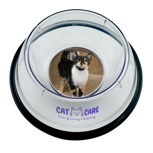 Pet Photo Bowl thumbnail