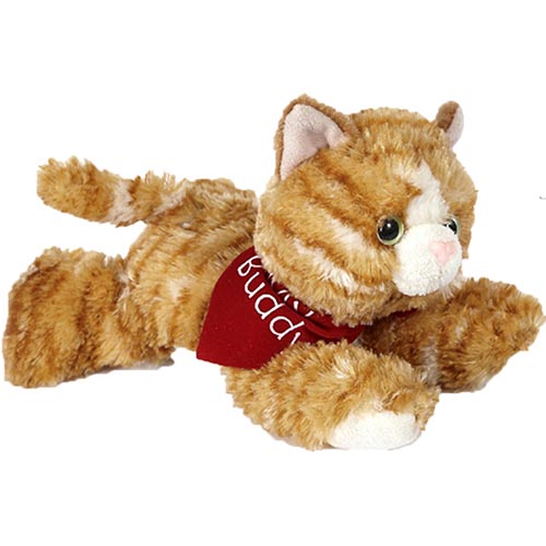Tabby Cat thumbnail