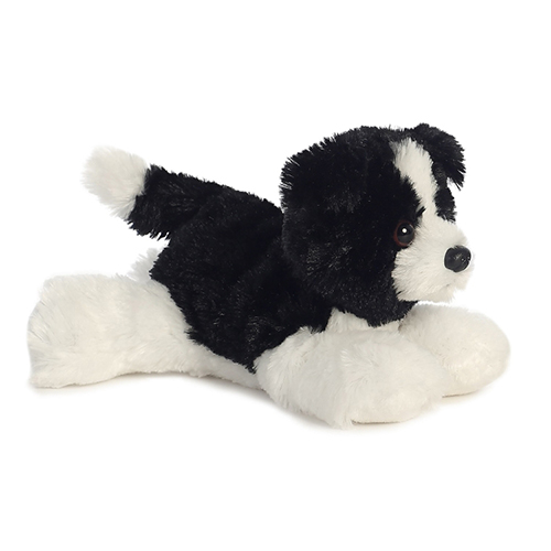 Black and White Dog thumbnail