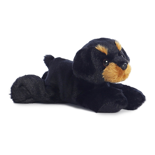Rottweiler thumbnail