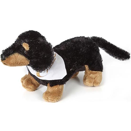 Dachshund thumbnail