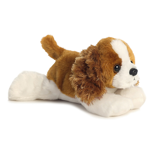 Cavailer King Charles thumbnail