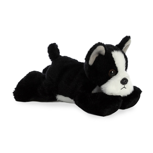 Boston Terrier thumbnail