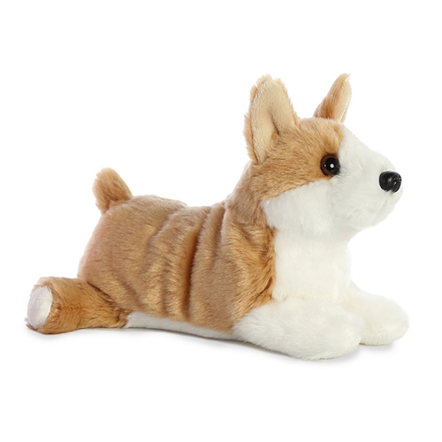 Corgi thumbnail