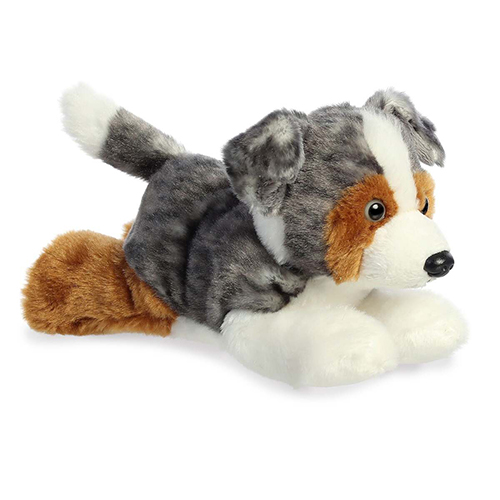Australian Shepherd thumbnail