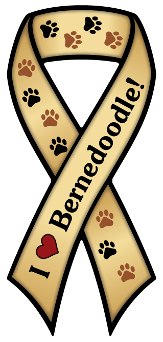 Bernedoodle thumbnail