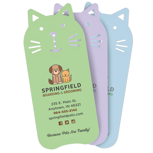 CAT thumbnail