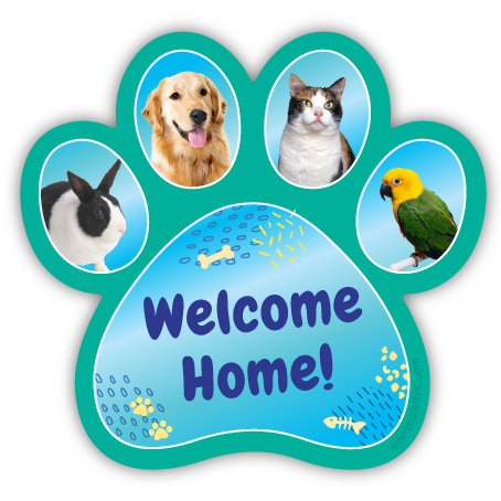 Pets in Toes thumbnail