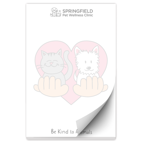Hands Holding Pets thumbnail