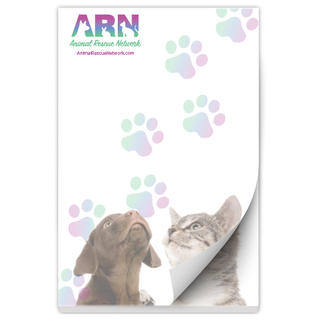 Puppy and Kitten 2 thumbnail