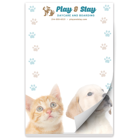 Puppy and Kitten thumbnail