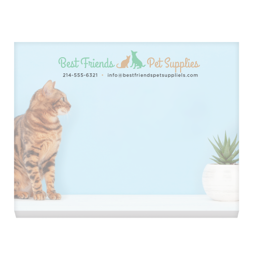 Cat and Plant thumbnail