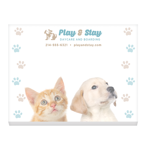 Kitten and Puppy thumbnail