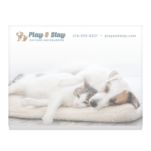 Cuddle Pets thumbnail