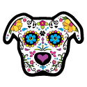 Sugar Skull Pit Bull thumbnail