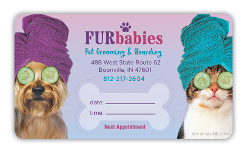Dog and Cat with Towels (Ombre) thumbnail