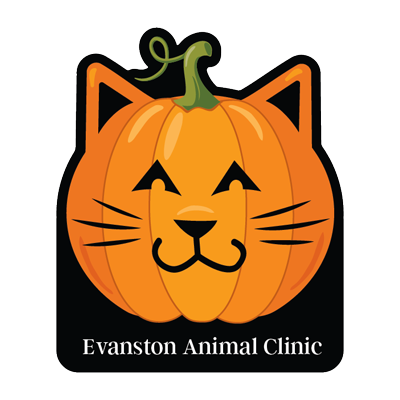 Pumpkin Cat thumbnail