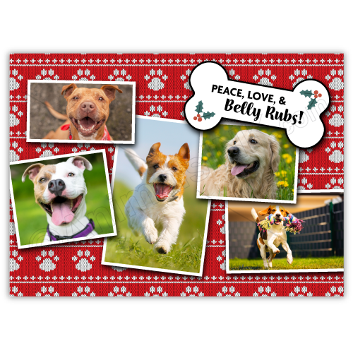 Peace Love & Belly Rubs thumbnail