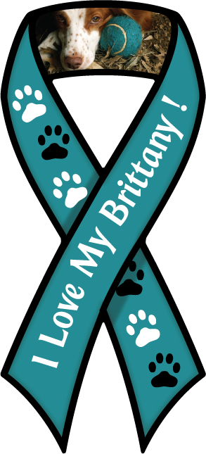 Brittany Spaniel (teal) thumbnail