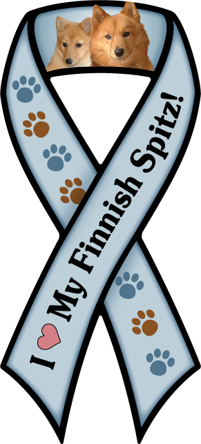 Finnish Spitz thumbnail