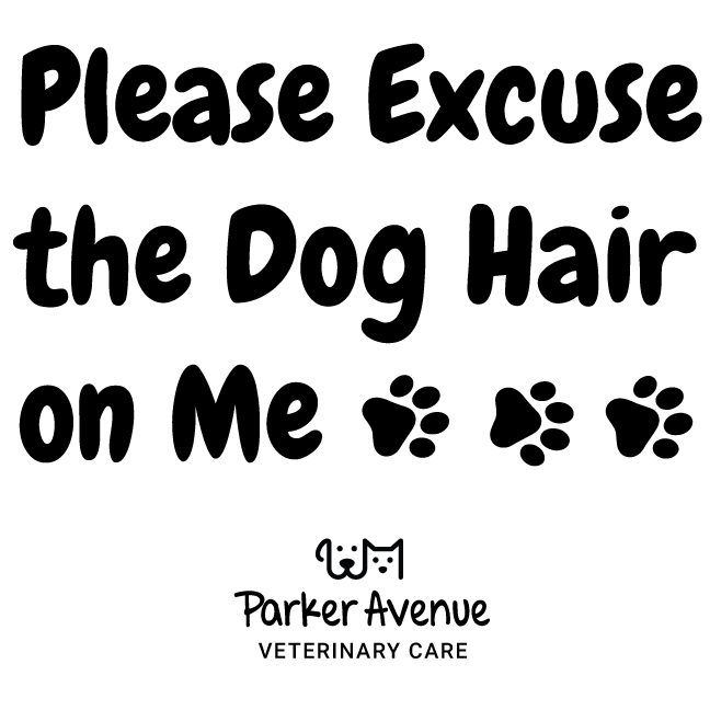 Excuse Dog Hair thumbnail