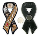 Havanese thumbnail