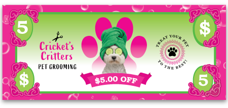 Spa Dog in Paw thumbnail