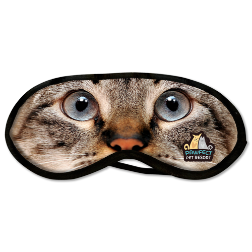 Cat Close Up thumbnail