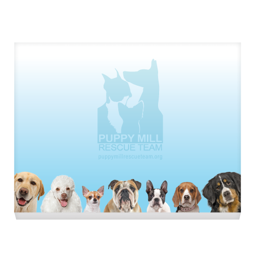 Row of Dogs thumbnail