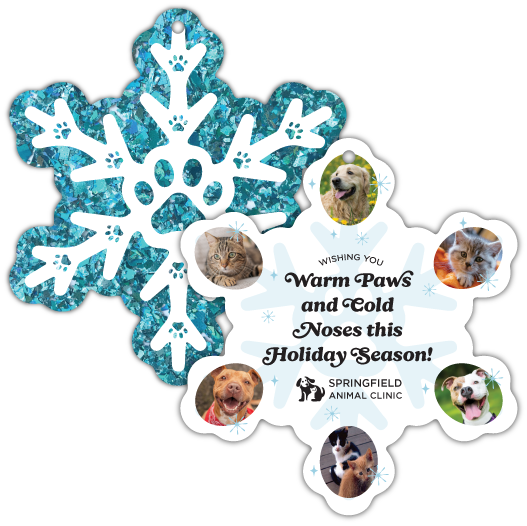 Snowflake (Teal) thumbnail