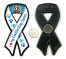 Cavalier King Charles thumbnail