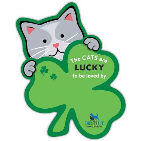 Cat Shamrock thumbnail