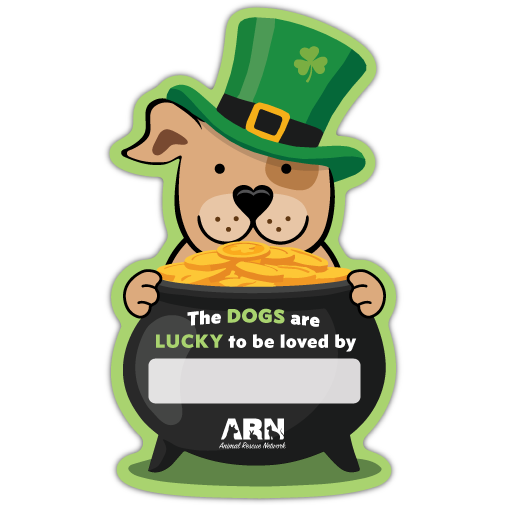 Dog Leprechaun thumbnail